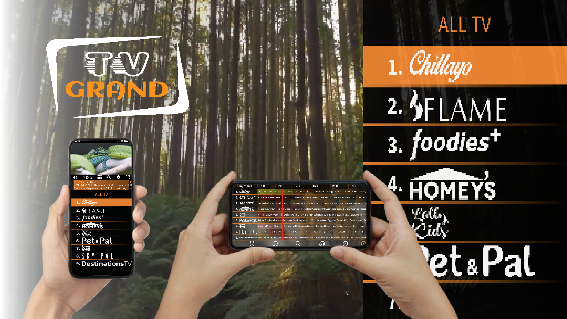 TV GRAND mobile interface